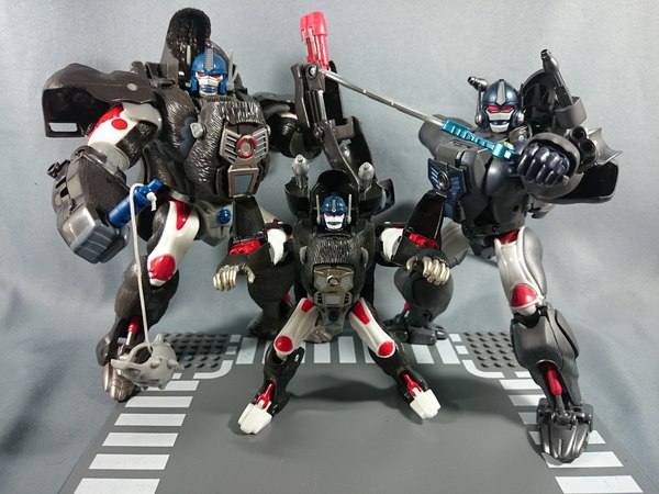 Masterpiece MP 32 Optimus Primal First In Hand Photos 12 (12 of 12)